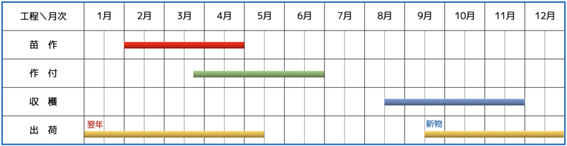 栽培期間